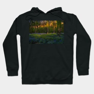 Bluebells Morning Hoodie